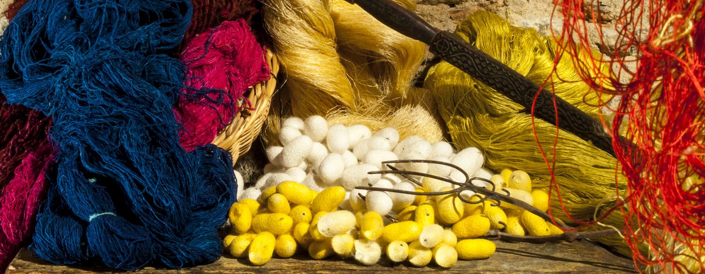 Bozzoli di seta gialli e bianchi tra matasse di filato blu, rosso e oro